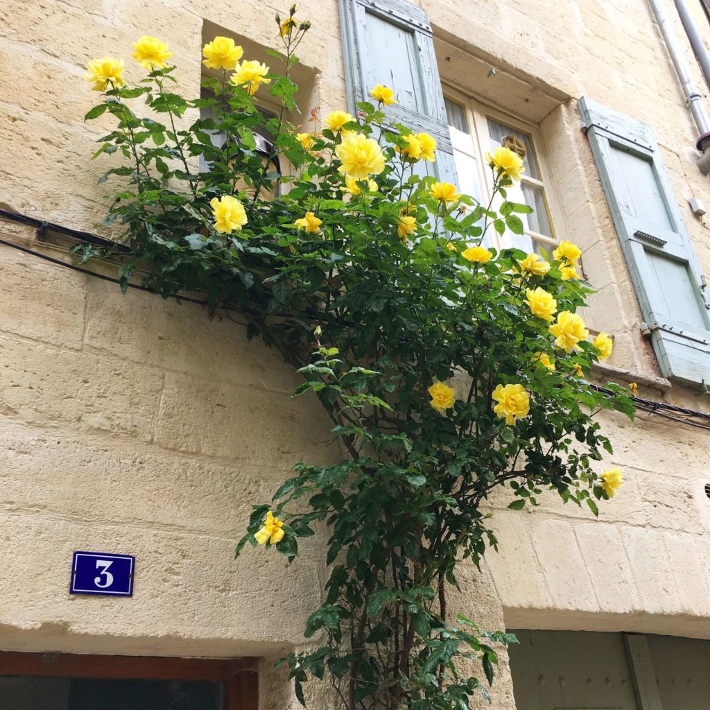 壁に花のある風景フランス